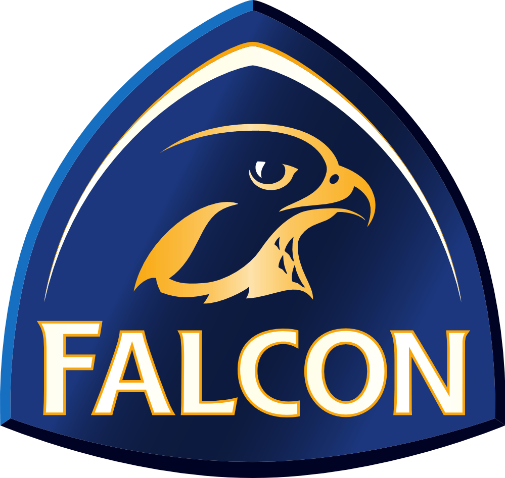 Software Falcon